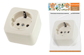SQ1824-0021 Розетка 2П+З открытой установки IP20 16А, сл. кость "Дача" Народная