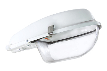 SQ0318-0010 Светильник РКУ 97-125-002 со стеклом TDM